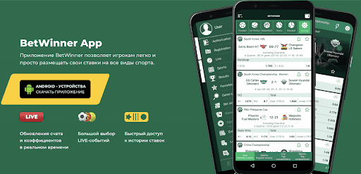 Discover the Excitement of Baji Live 365