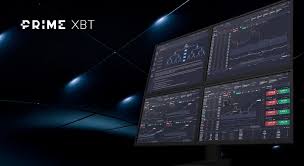 Exploring the Exciting Bonuses PrimeXBT