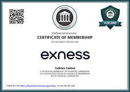 Comprehensive Exness VPS Review Performance, Features, and Benefits